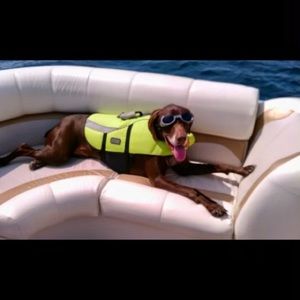 Meet your Posher, Jim